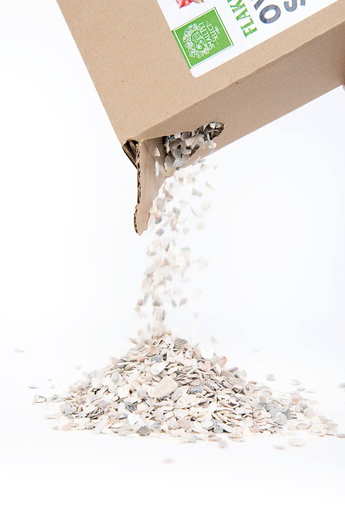 Small Pet Select sac 10 lb posé à côté d'une règle pour échelle et gestion des stocks