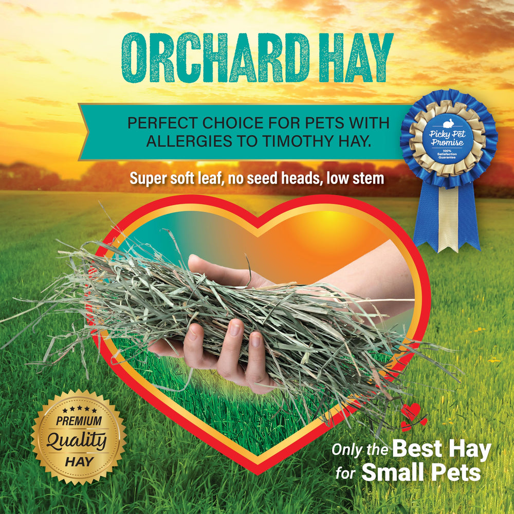 Small Pet Select produit 5 lb comparé pour évaluer quantité utile