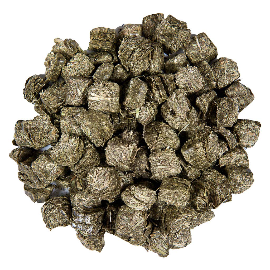 Small Pet Select coupe transversale révélant fibres vertes et qualité