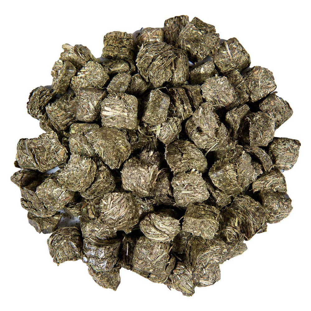 Small Pet Select coupe transversale révélant fibres vertes et qualité