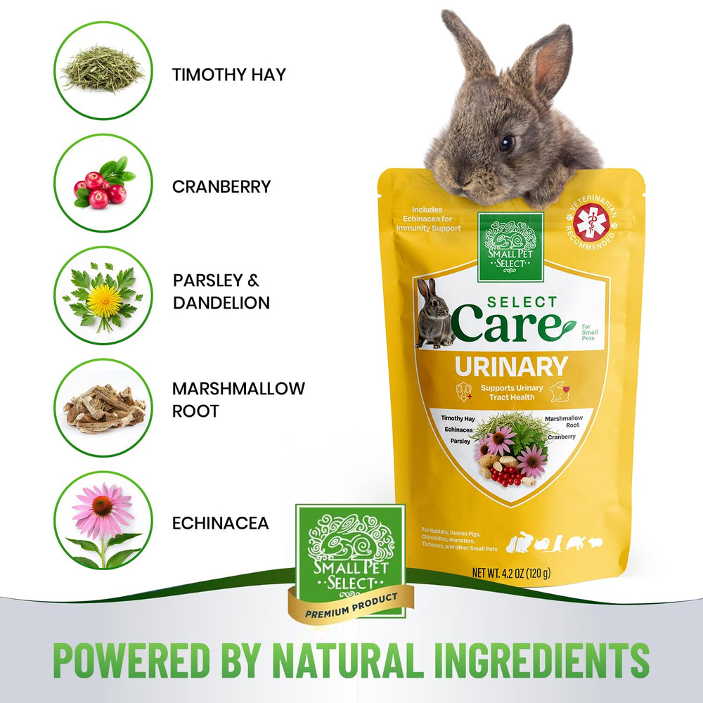 Small Pet Select ingrédients naturels étalés pour illustrer composition saine