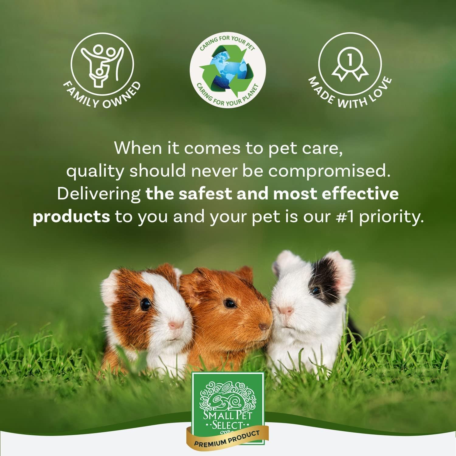 Small Pet Select mise en scène domestique illustrant propreté et confort pour animal