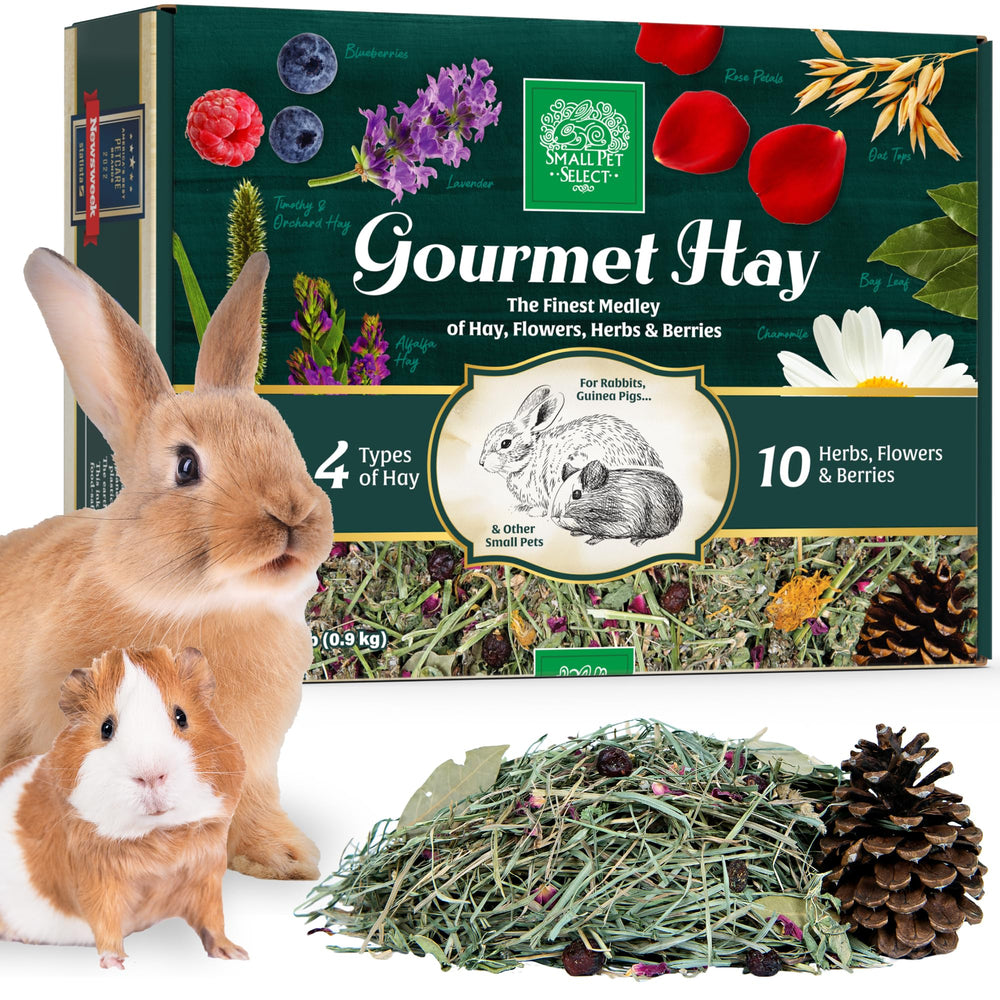 Small Pet Select paquet avant montrant le mélange gourmand, attire l'appétit du lapin