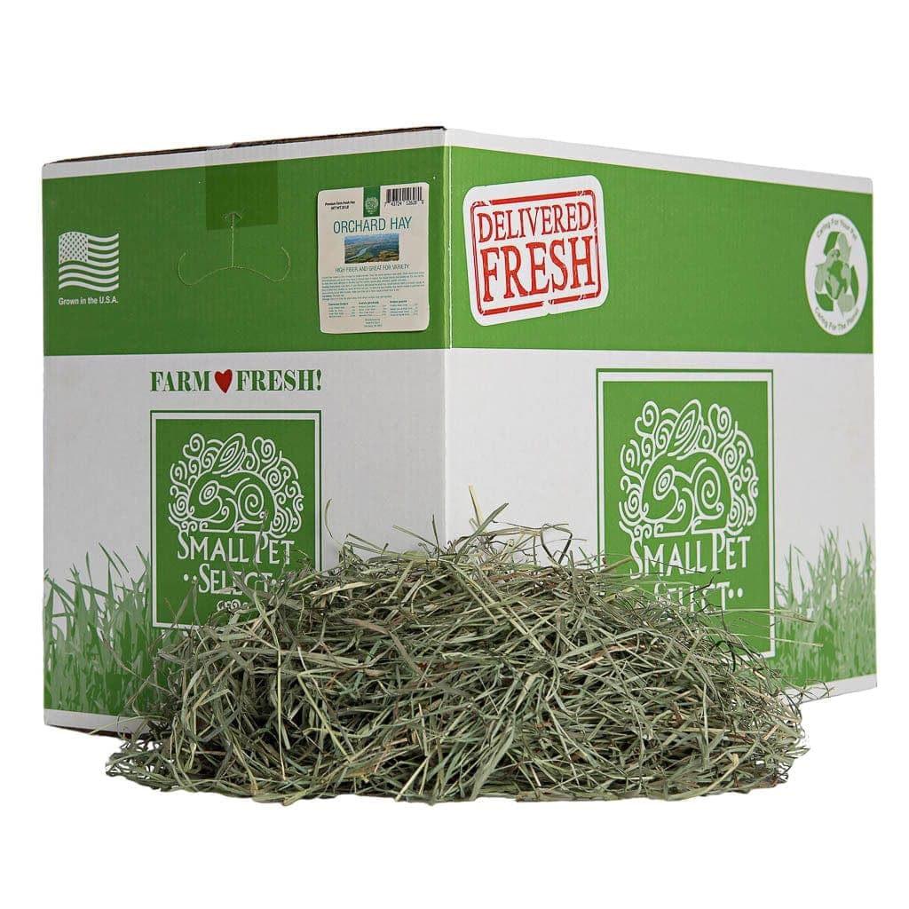 Small Pet Select paquet avant montrant foin vert et appétent pour rongeurs