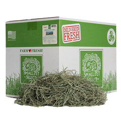 Small Pet Select paquet avant montrant foin vert et appétent pour rongeurs