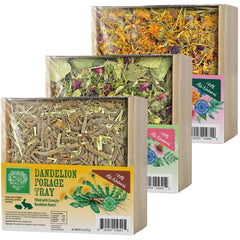 Small Pet Select plateau face montrant le packaging et la présentation appétente