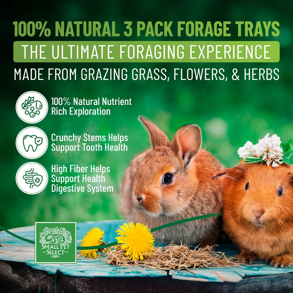 Small Pet Select gros plan herbes montrant textures et bienfaits fibreux
