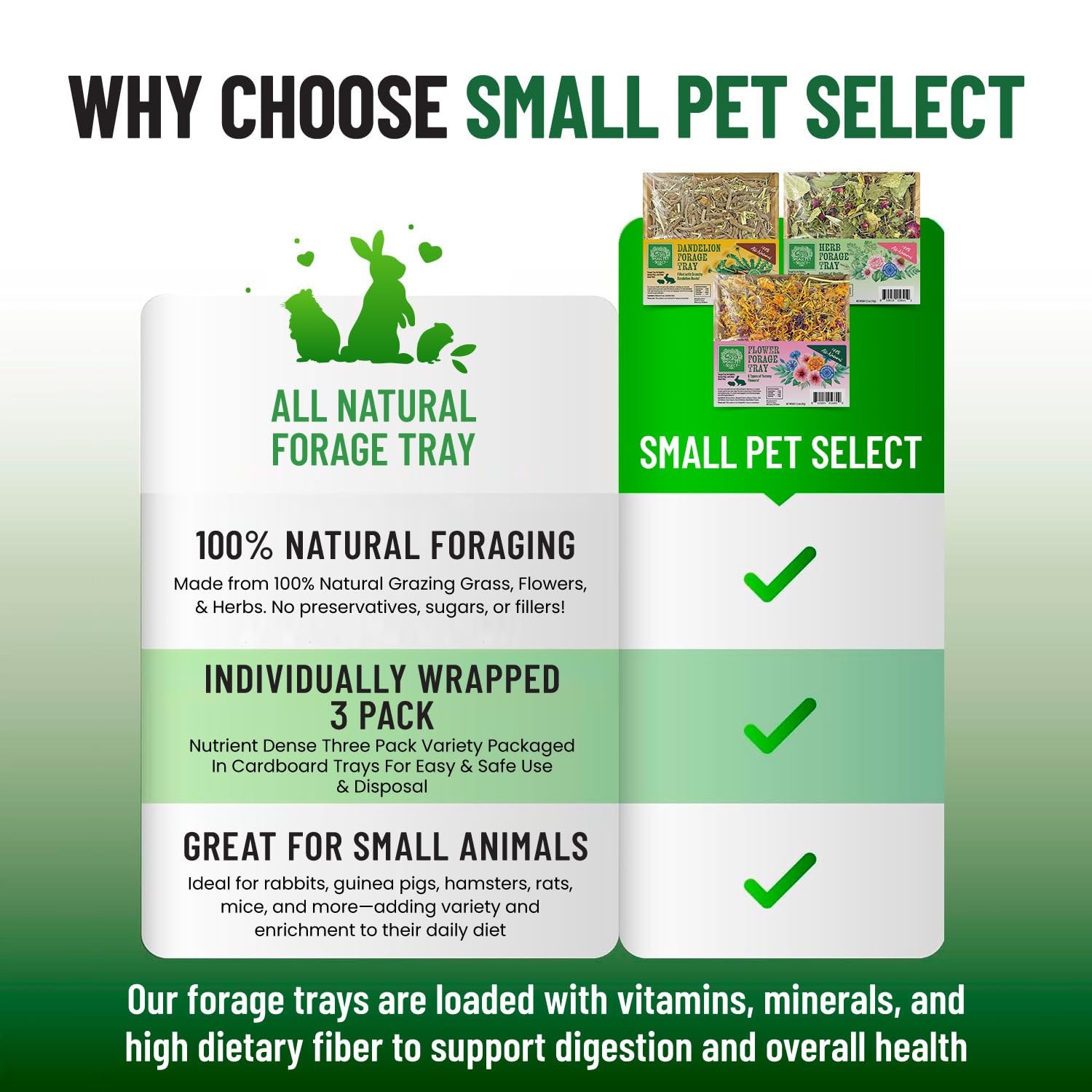 Small Pet Select gros plan pissenlit montrant racines nutritives et texture