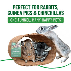Small Pet Select tunnel à côté d'objet pour comparer taille utile