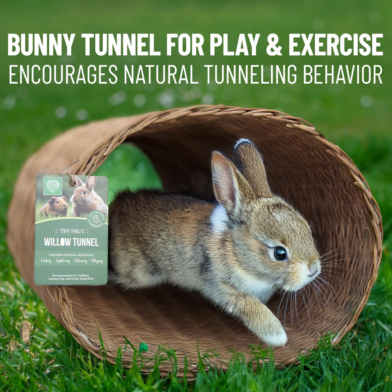 Small Pet Select tunnel placé dans un ex-pen pour enrichissement