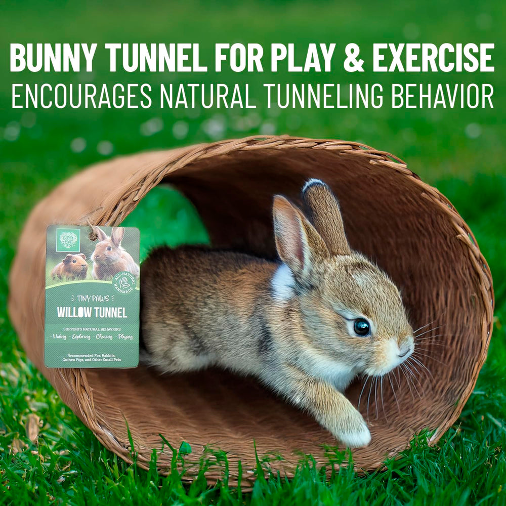 Small Pet Select tunnel placé dans un ex-pen pour enrichissement