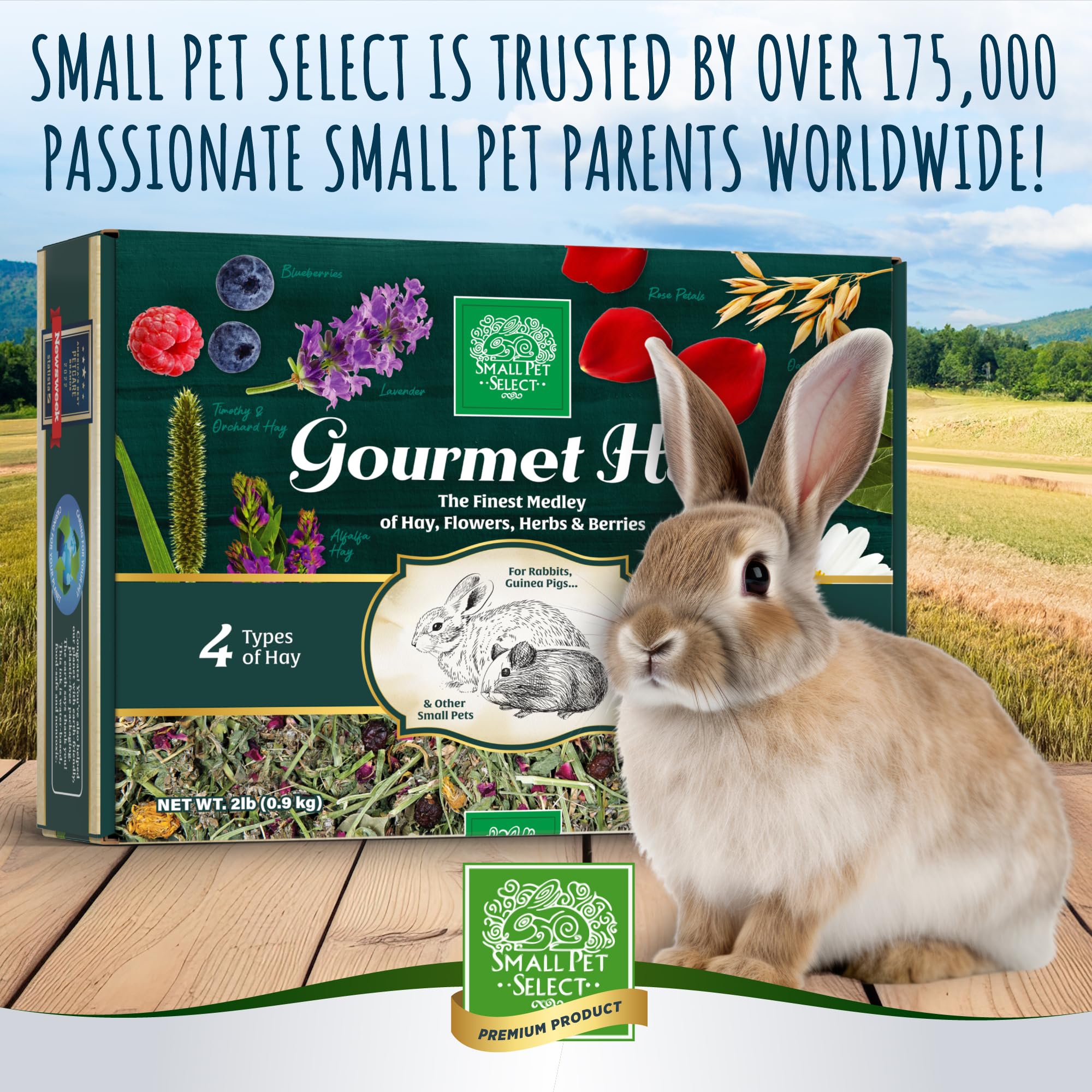 Small Pet Select foin gourmand dissimulé dans jouet, stimule le forage et le jeu