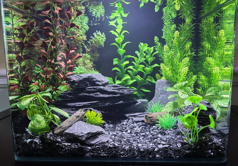 Small World Slate & Stone comparaison d'échelle montrant taille 1/8–1/4 pouce