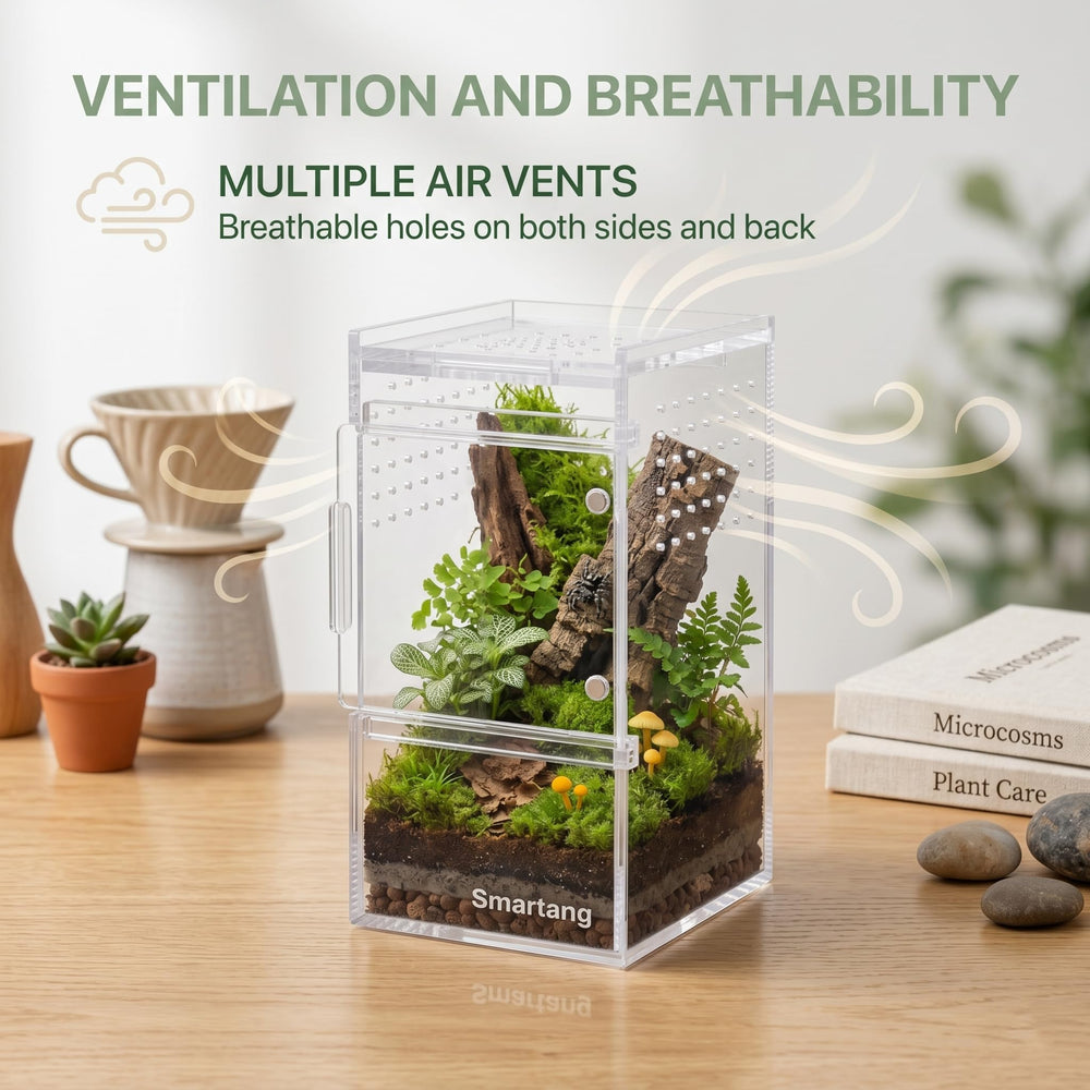 smartang terrarium en situation naturelle idéal pour exposition et apprentissage