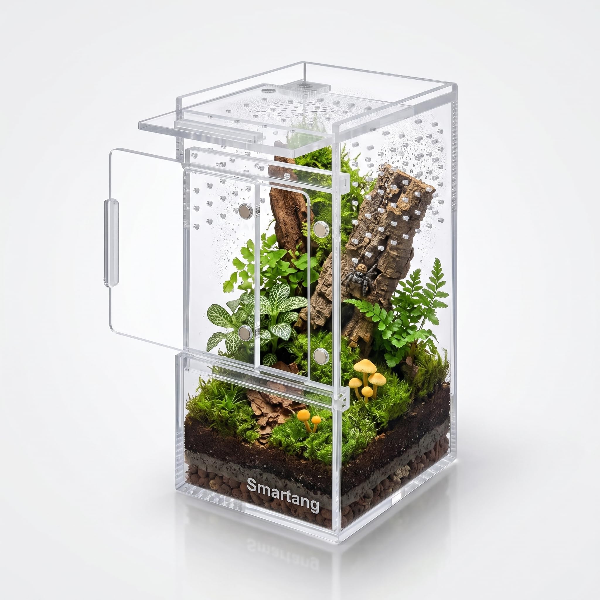 smartang terrarium vue de face offrant observation claire et sécurité