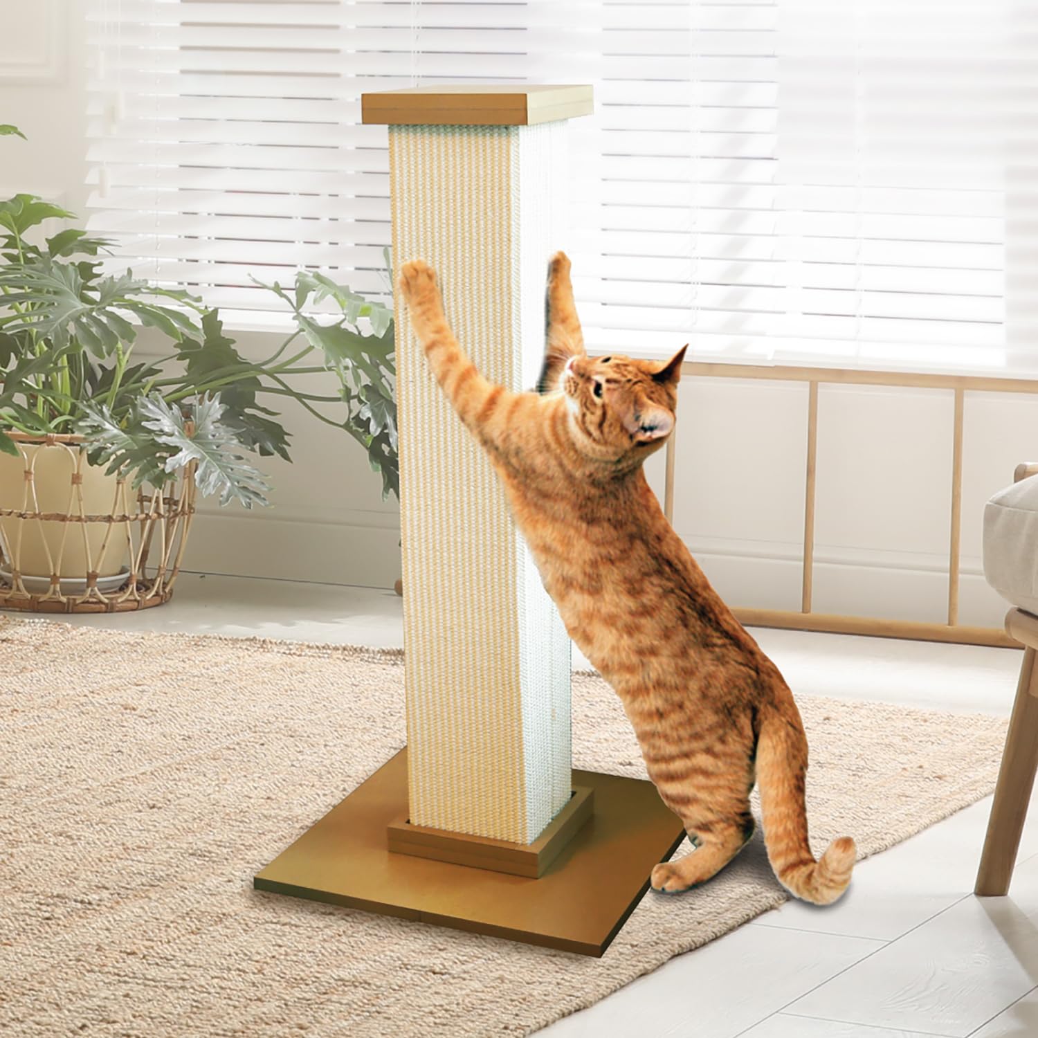 SmartCat chat utilisant le poteau illustrant exercice naturel et plaisir