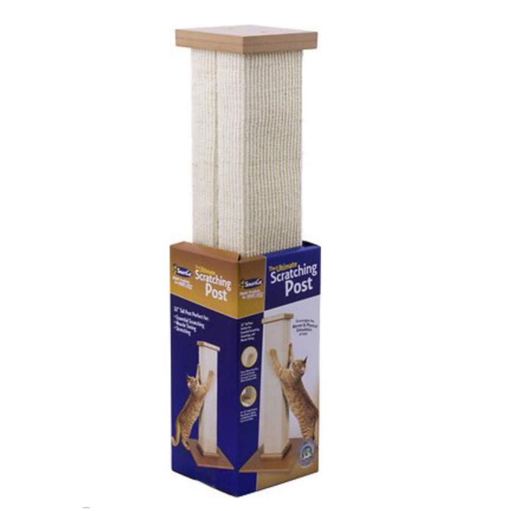 SmartCat comparaison taille montrant échelle 81 cm pour étirements complets