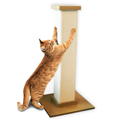 SmartCat poteau vu de face montrant stabilité et hauteur pour étirements