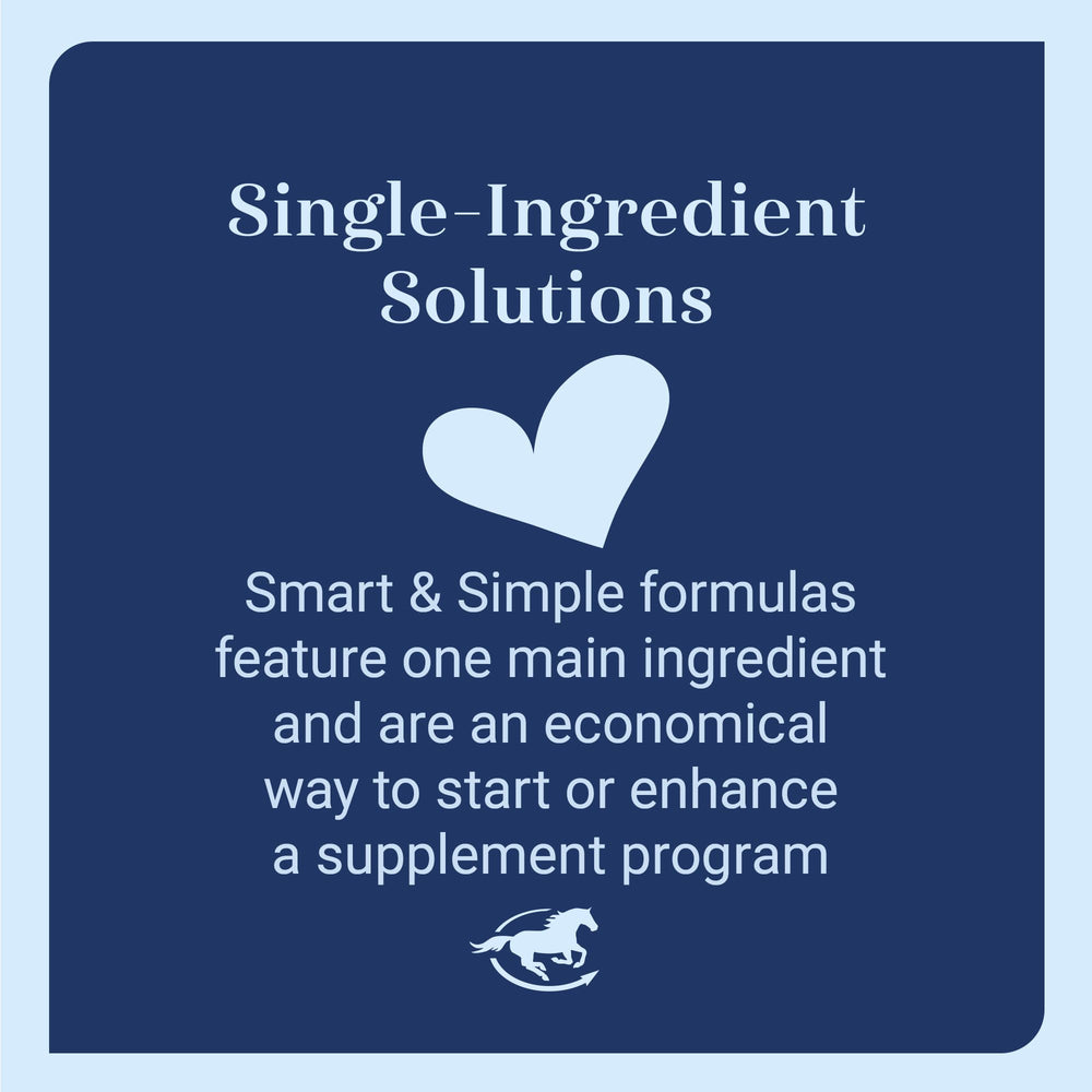 SmartEquine gros plan sur la poudre révélant texture fine et homogène