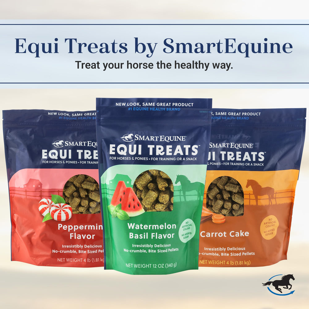 SmartEquine poche à friandises en situation, pratique pour entraînement