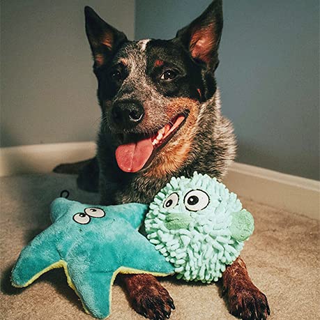 SmartPetLove jouet posé sur canapé illustrant confort et jeu à la maison