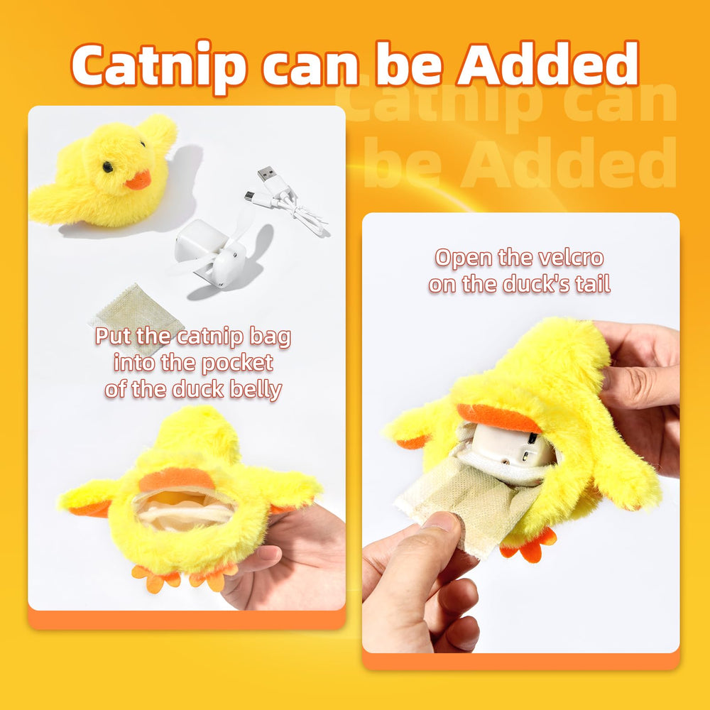 SmartTail comparaison taille montrant proportions adaptées aux chats