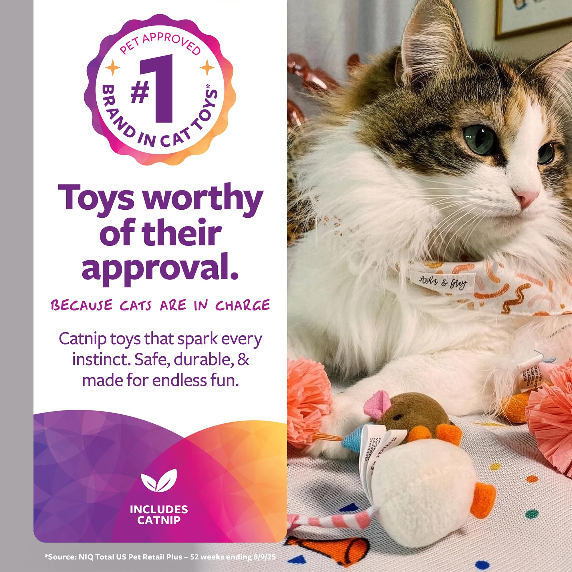 SmartyKat gros plan rafia montrant texture durable et stimulation tactile