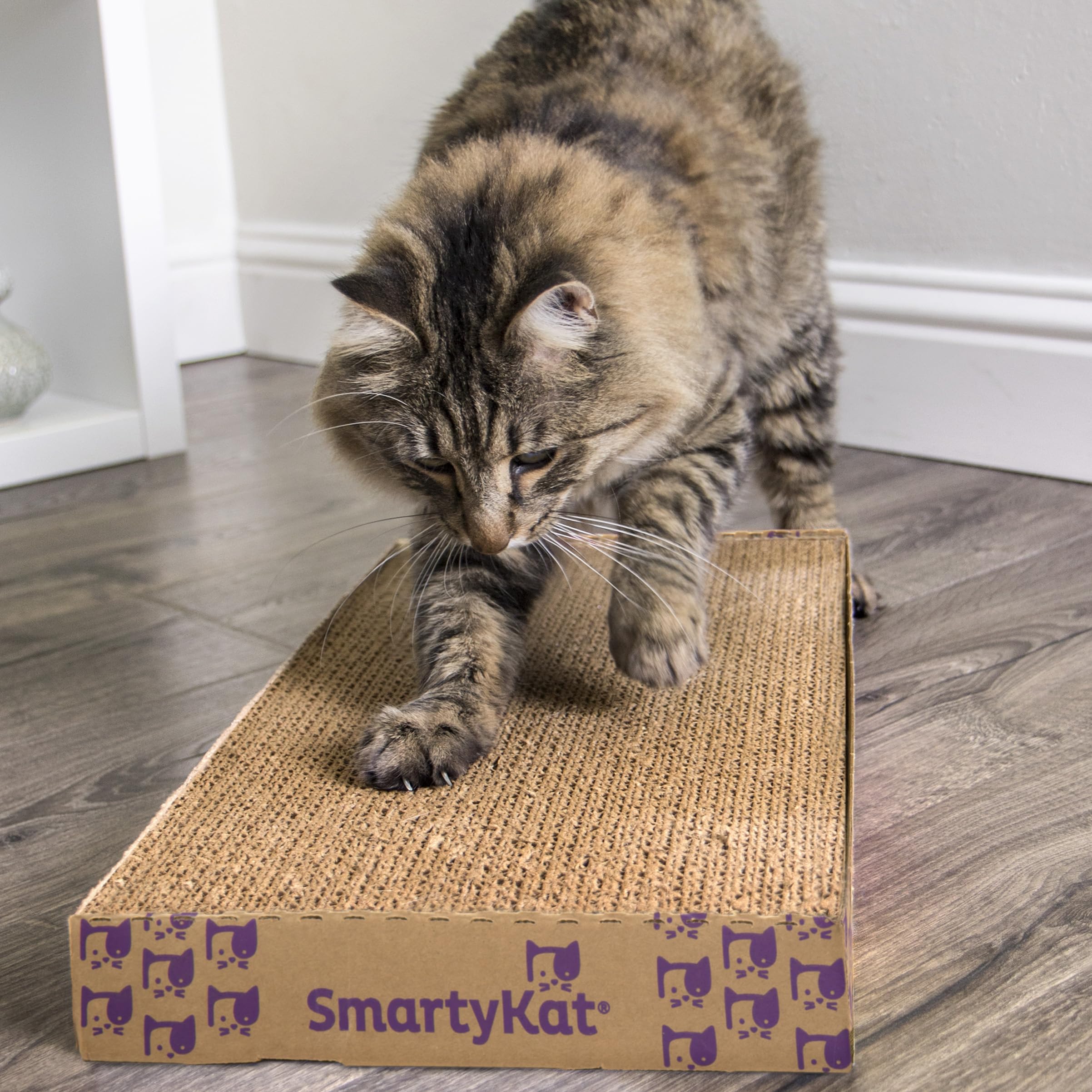 SmartyKat gros plan texture en carton ondulé rappelant écorce naturelle