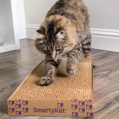 SmartyKat gros plan texture en carton ondulé rappelant écorce naturelle