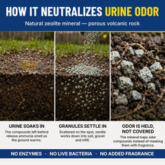 SMELLEZE granulés saupoudrés sur pelouse pour réduire les odeurs d'urine