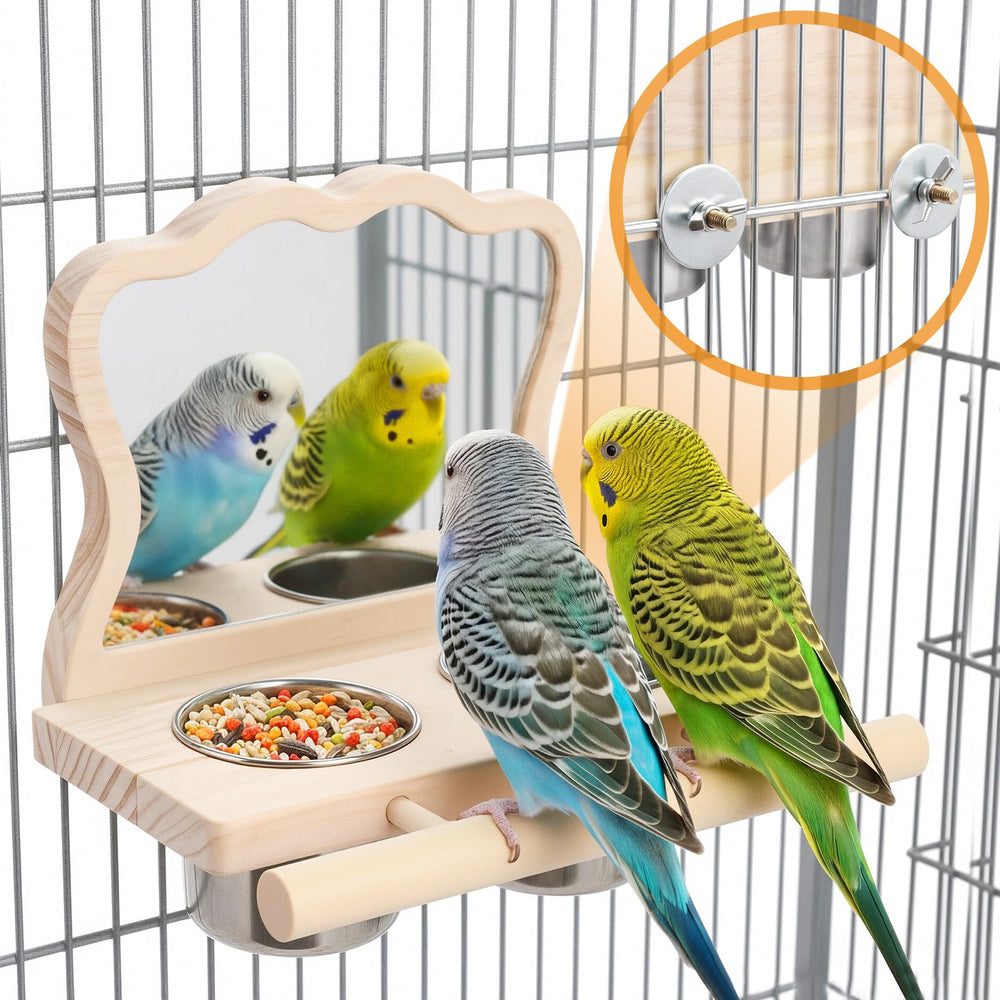SMICEM comparaison taille montre encombrement et compatibilité cages