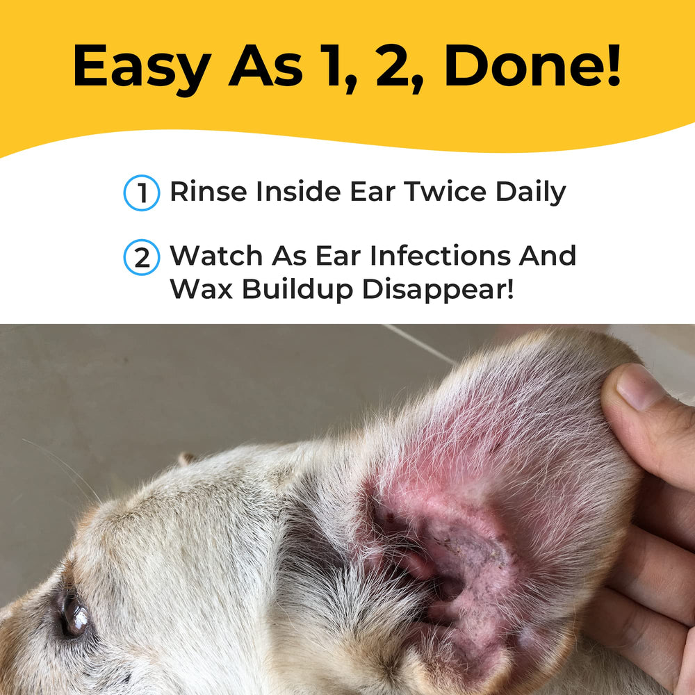 Smiling Paws application oreille chien démontrant nettoyage et confort