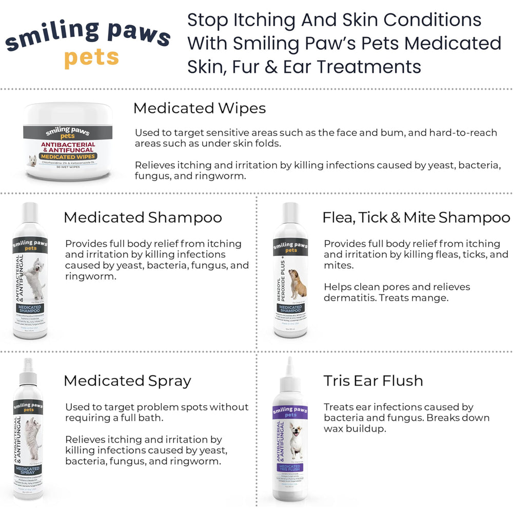 Smiling Paws comparaison échelle montrant petite taille pratique