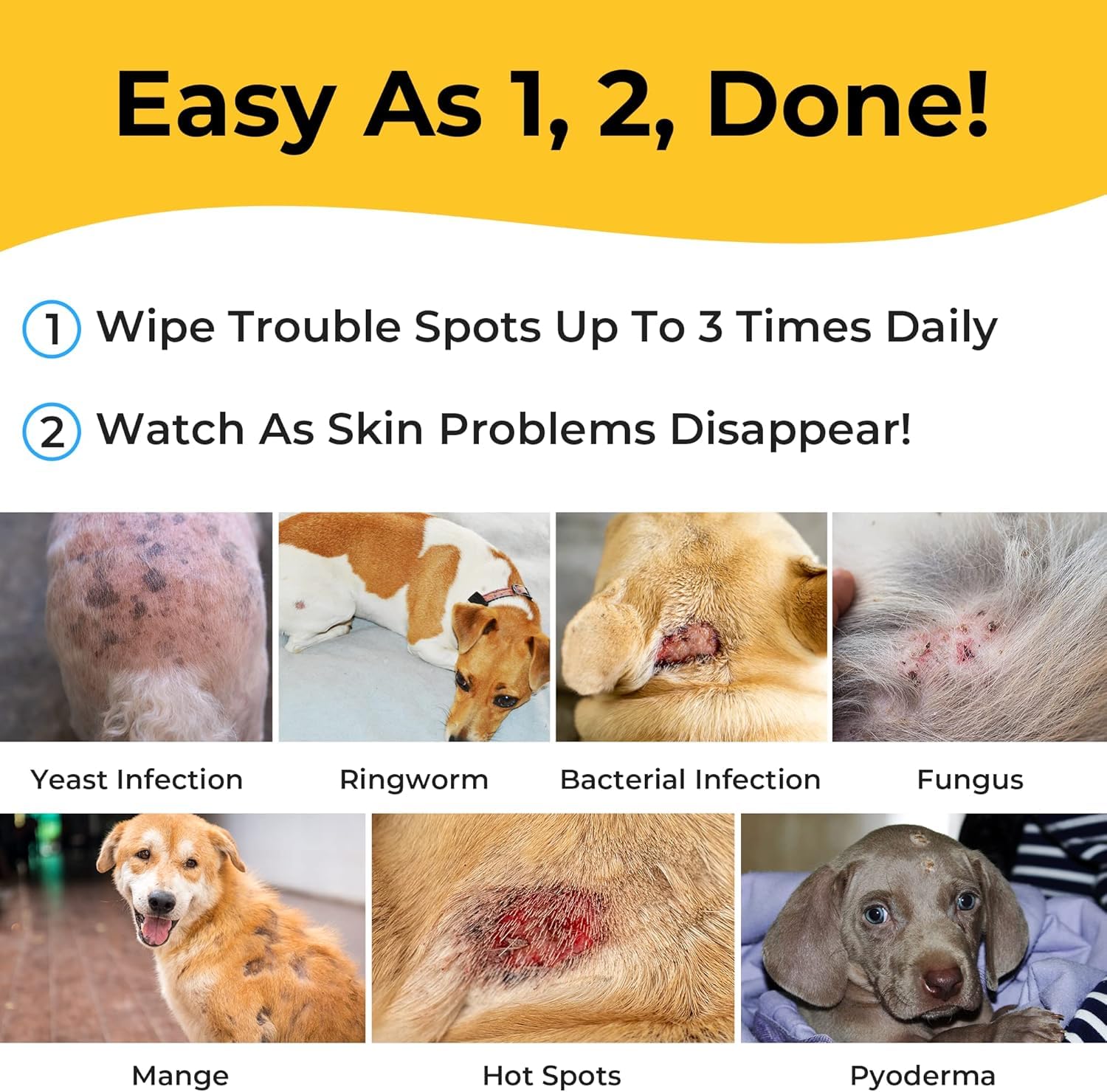 Smiling Paws texture imbibée en gros plan, humidité optimale pour nettoyer
