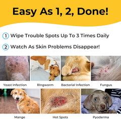 Smiling Paws texture imbibée en gros plan, humidité optimale pour nettoyer