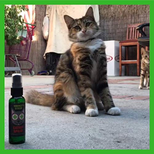 Smokey's Stash ensemble sur table ambiance naturelle et artisanale