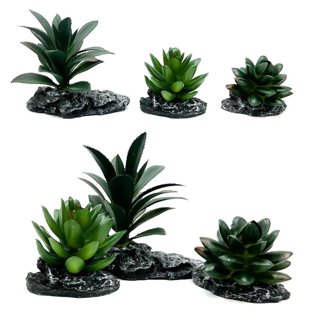 Smoothedo-Pets plante formant cachette sécurisante pour gecko
