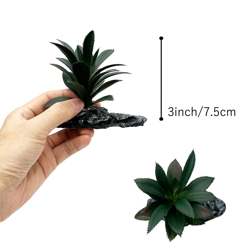 Smoothedo-Pets comparaison taille indiquant échelle et proportions