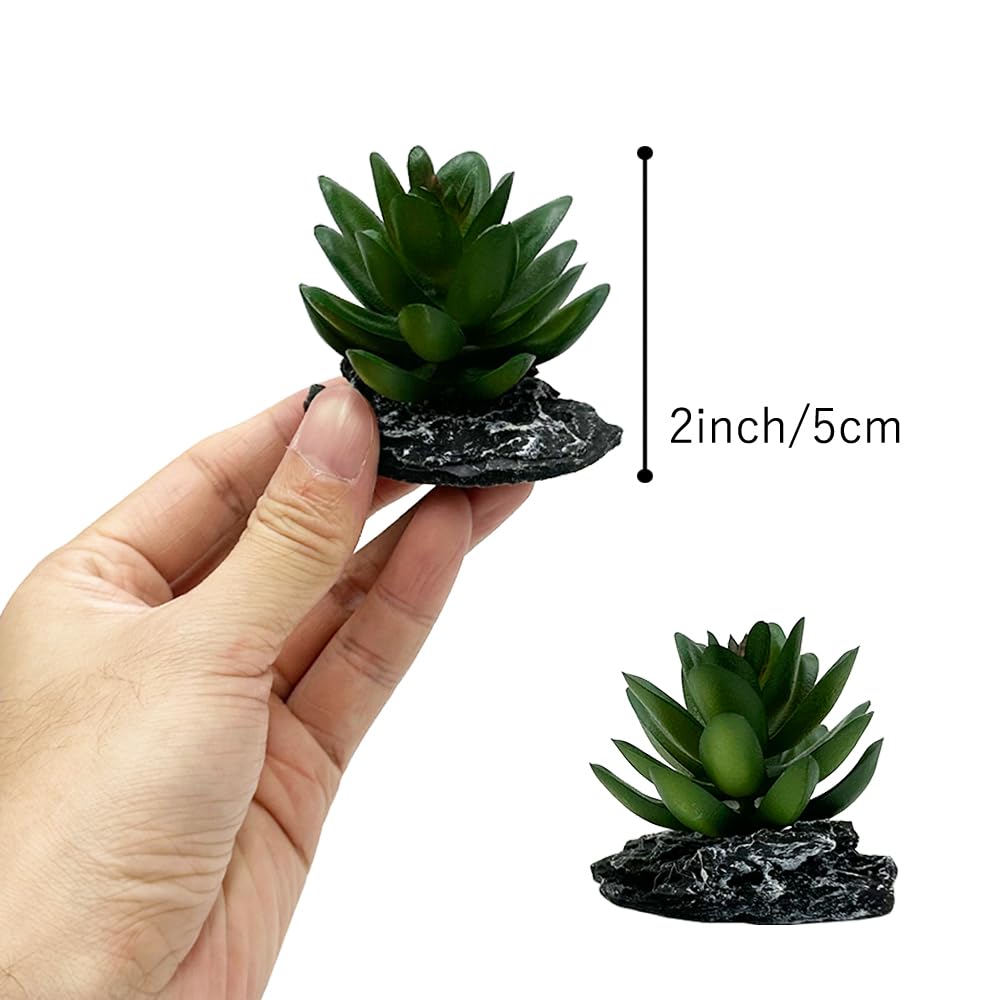Smoothedo-Pets décor installé dans terrarium pour meilleure cache