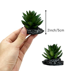 Smoothedo-Pets décor installé dans terrarium pour meilleure cache