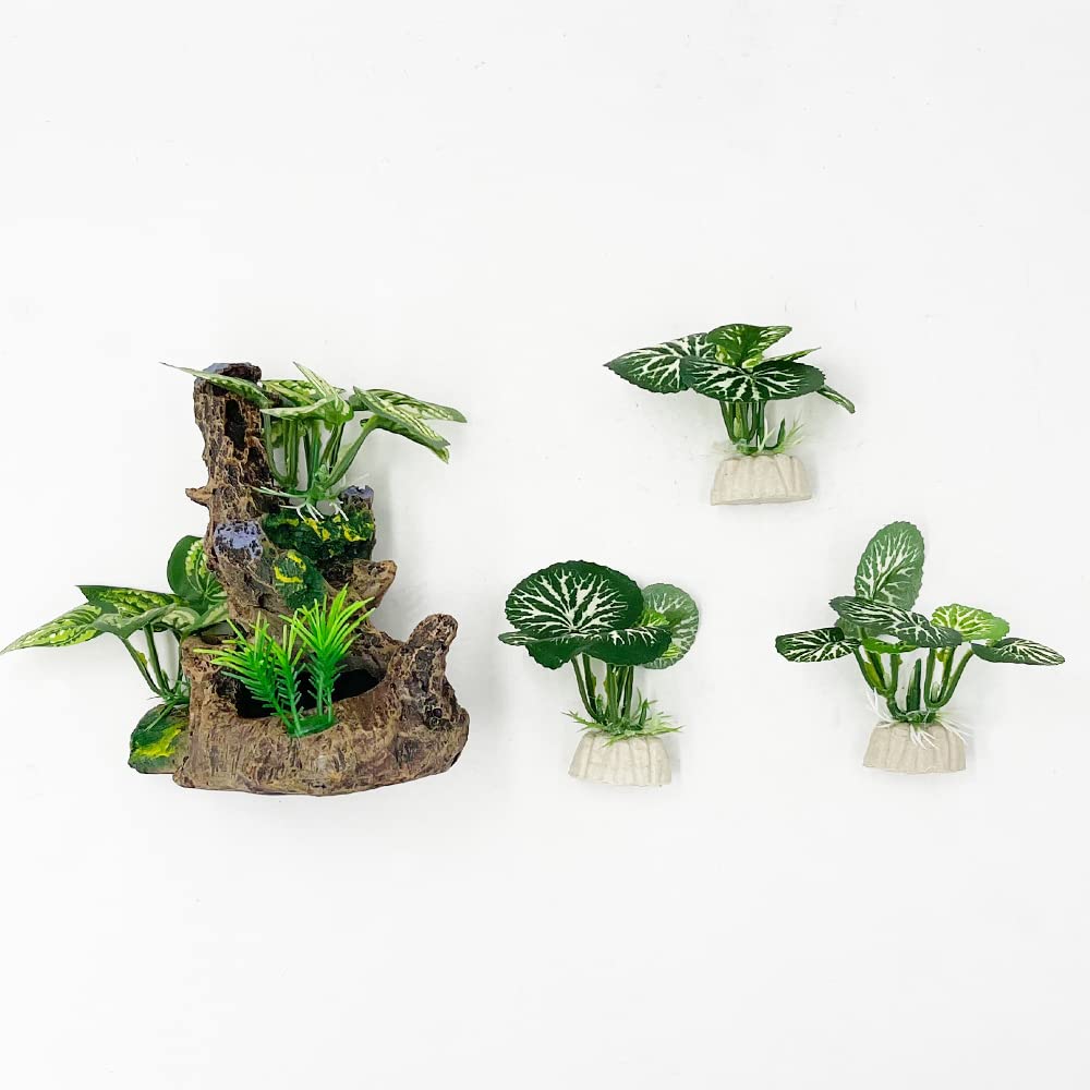 Smoothedo-Pets décoration installée en aquarium avec betta reposant