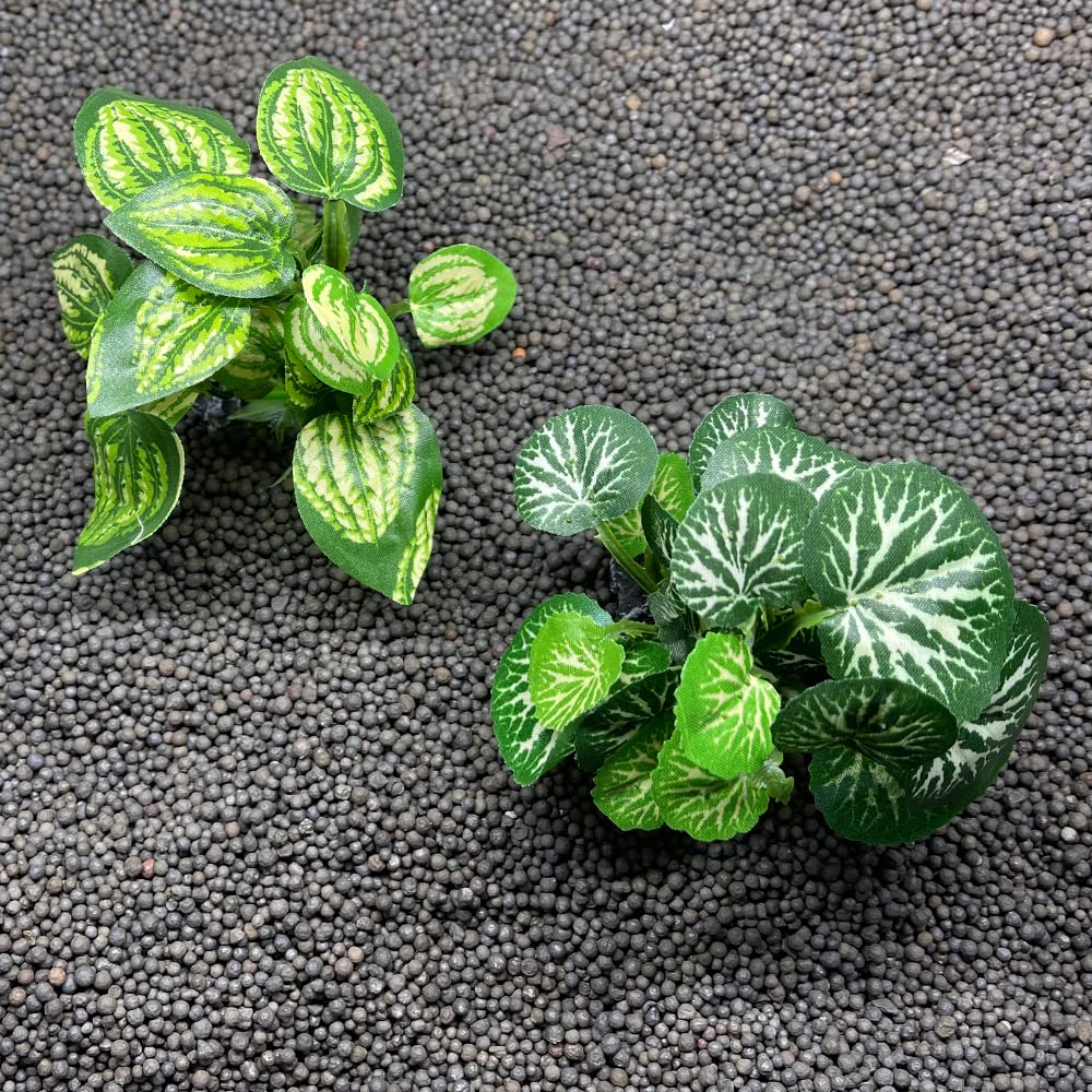Smoothedo-Pets ensemble de deux plantes intégrées dans un décor aquatique coloré