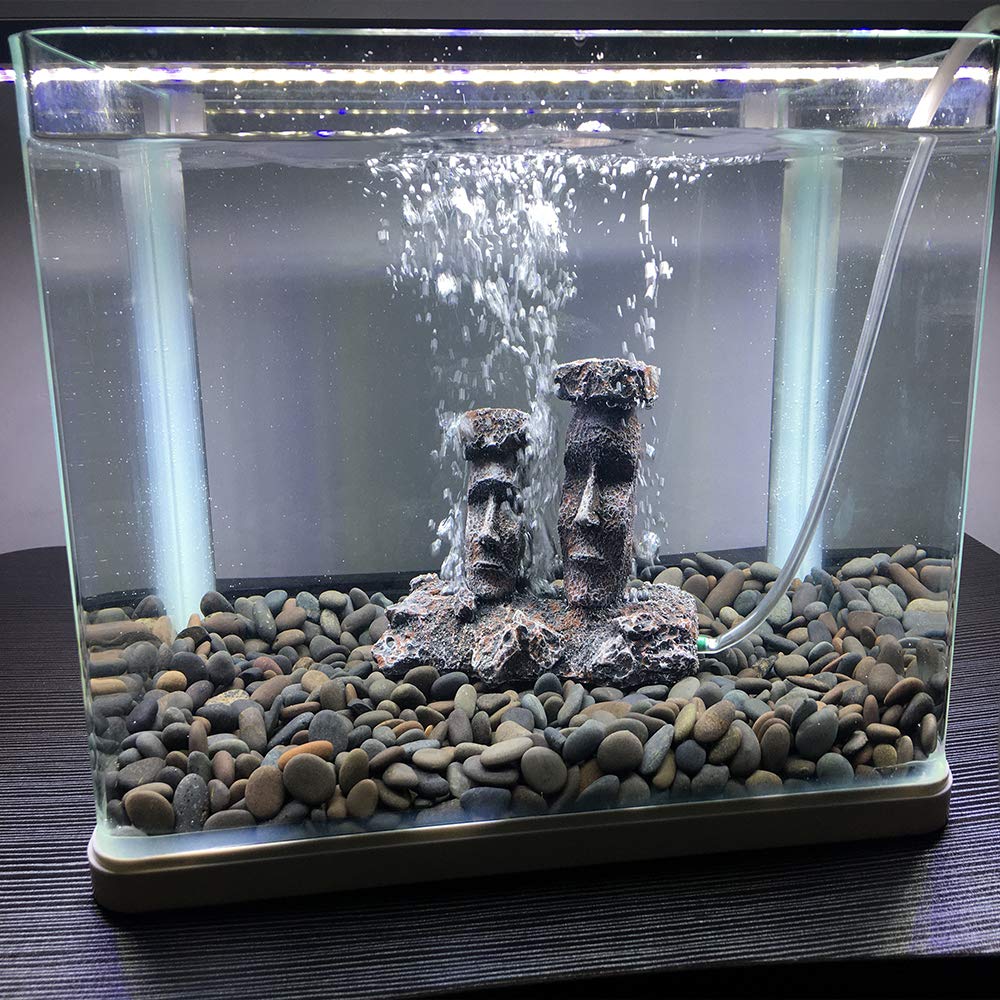 Smoothedo-Pets Moai installé dans aquarium apportant mouvement visuel