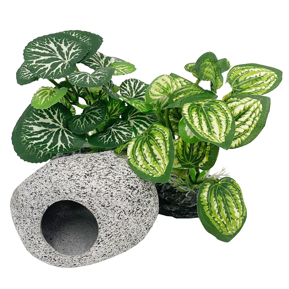 Smoothedo-Pets vue avant de la plante artificielle montrant le design réaliste et l’esthétique