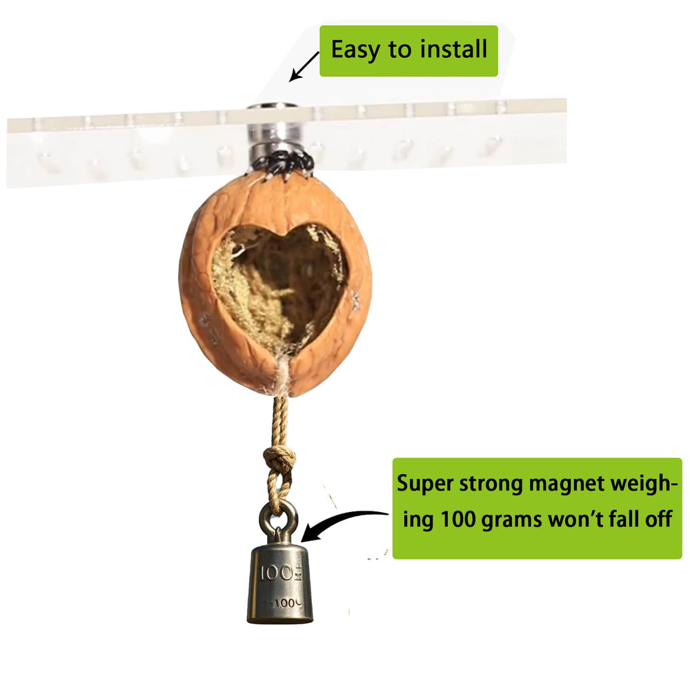 SMSUX gros plan grain du noyer montrant finition artisanale durable