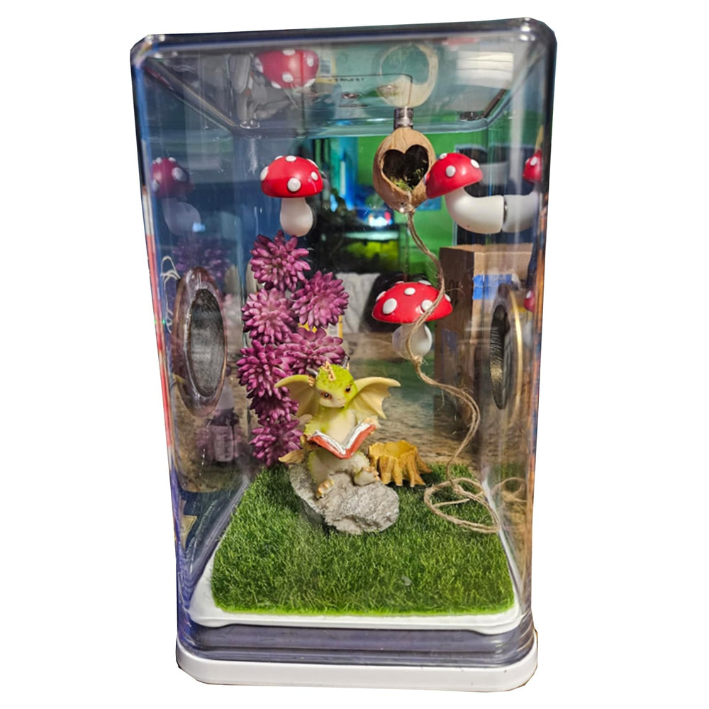 SMSUX cachette installée en terrarium facilitant observation de l'araignée
