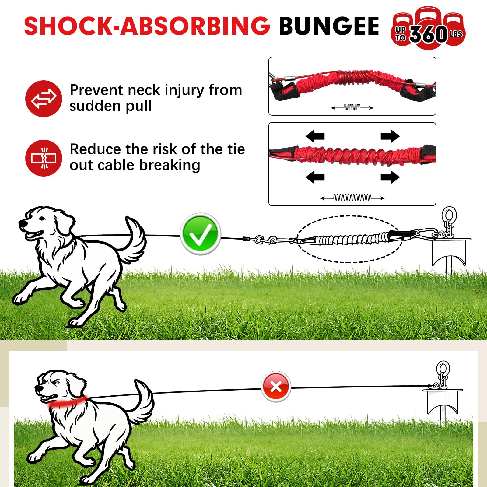 Snagle Paw cordon bungee en gros plan absorbant les secousses du chien
