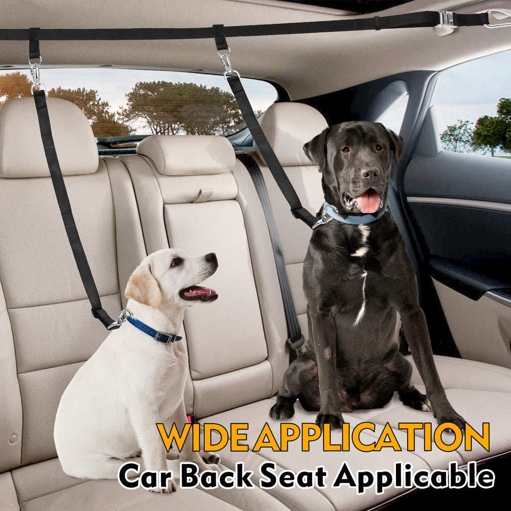 Snagle Paw tous les composants et notice pour installation rapide