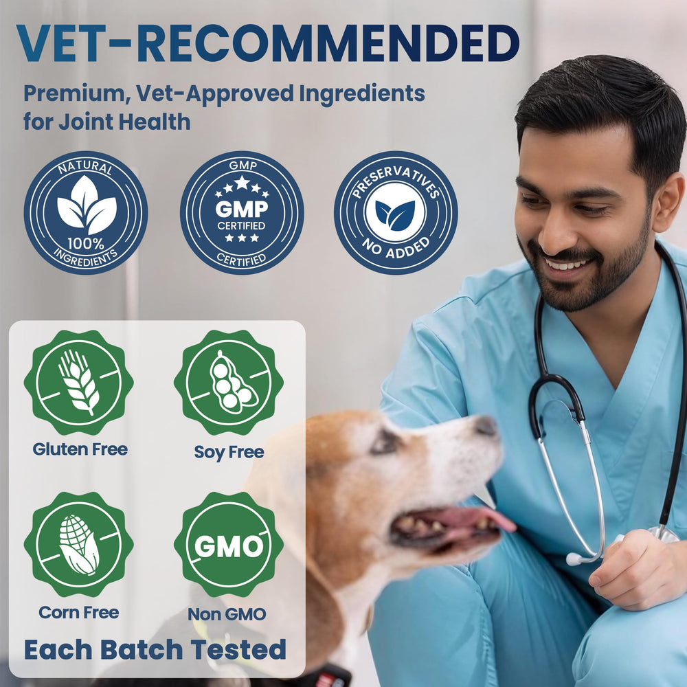 SnazFirst chien adulte avec pelage brillant grâce à bonne flore intestinale