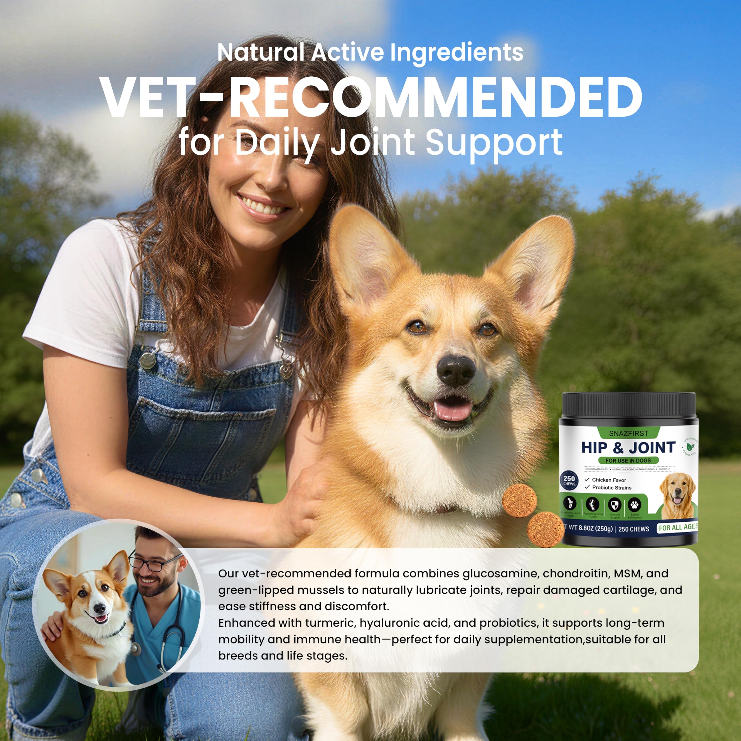 SnazFirst chien en balade pour montrer maintien d'activité et vitalité